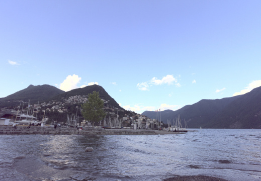 IMG 7582