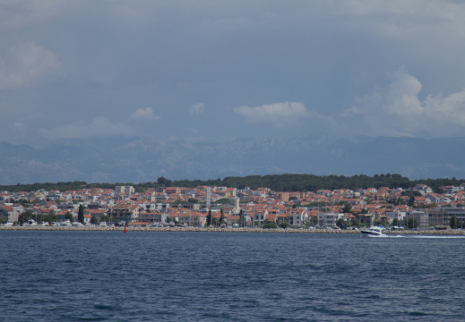 IMG 7942